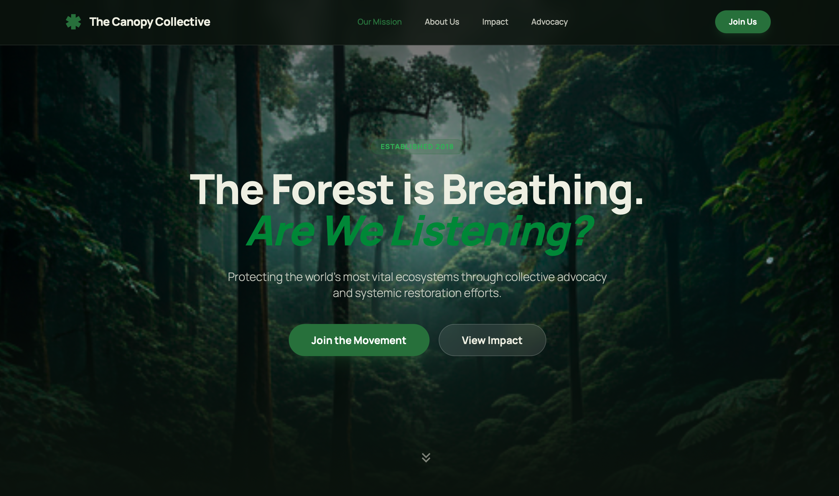 The Canopy collective